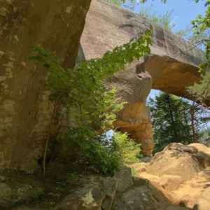 Meet your Posher, Camille